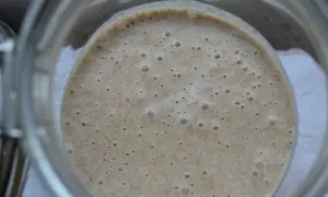 En bubblig mata surdeg i ett glas. Den är redo att bakas med!