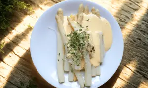 En tallrik med vit sparris, täckt av en krämig sås och toppad med färska groddar. En härlig vårmåltid.