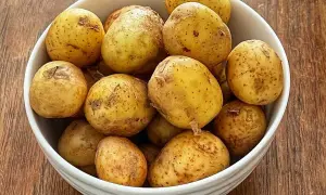 En skål med färskpotatis, redo att koka. Perfekt för en svensk sommarmåltid.