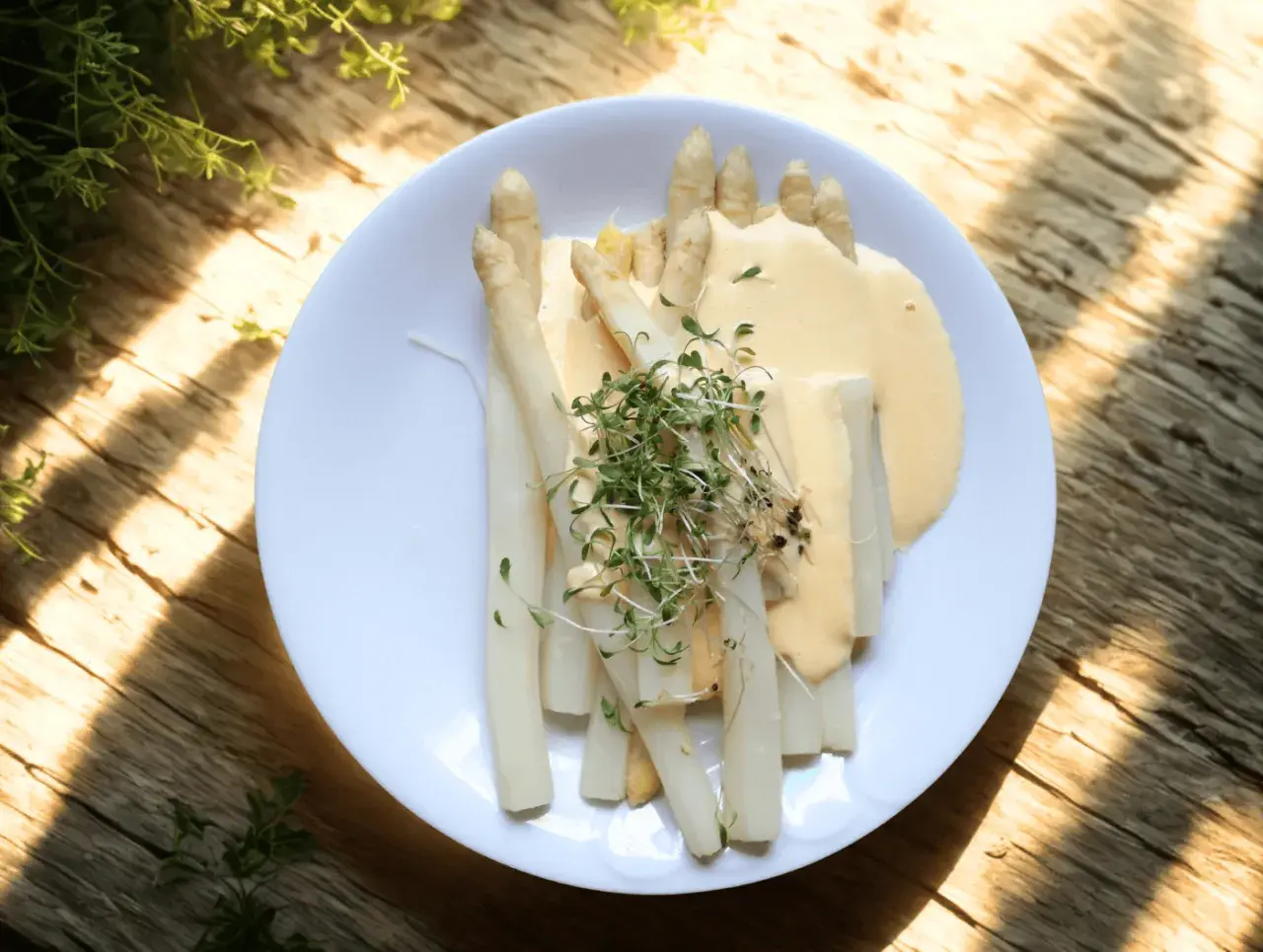 En tallrik med vit sparris, täckt av en krämig sås och toppad med färska groddar. En härlig vårmåltid.