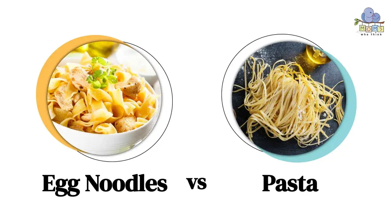 Äggnudlar i skål med kyckling och örter jämförs med råa pastastrån. En bild som visar skillnad på nudlar och pasta.
